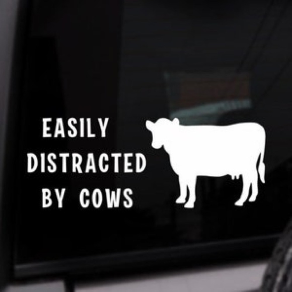 White Cow Car Decal